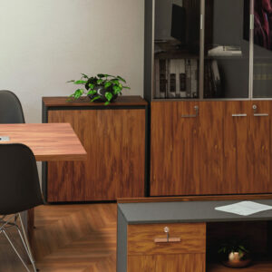246 000007 1 Professional low cabinet Oscar Argos The Classic in walnut-anthracite color 80x40x80cm