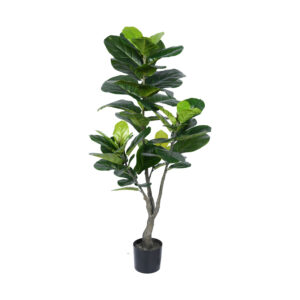 316 000001 Decorative plant Fiddlehead in a pot Argos The Classic green pp H120cm