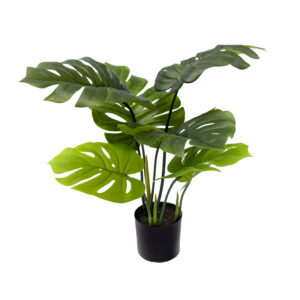 Monstera decorative plant in pot Argos The Classic green pp H70cm