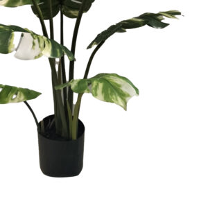 316 000004 2 Decorative plant Monstera I in a pot Argos The Classic green pp H90cm