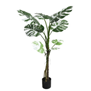 Decorative potted plant Monstera II Argos The Classic green pp H132cm