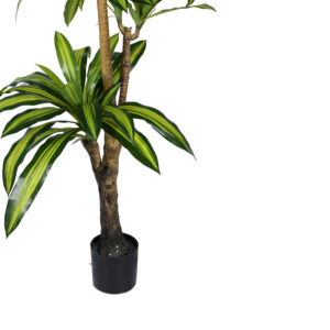 316 000009 2 Decorative plant Dracaena I in a pot Argos The Classic green pp H170cm