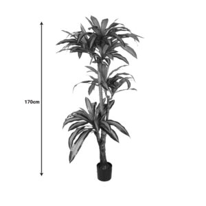 316 000009 3 Decorative plant Dracaena I in a pot Argos The Classic green pp H170cm