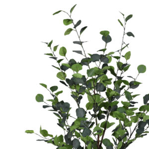316 000015 1 Decorative plant Eucalyptus I in a pot Argos The Classic green pp H150cm