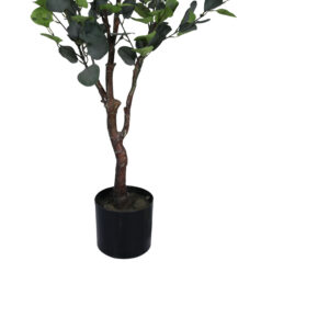 316 000015 2 Decorative plant Eucalyptus I in a pot Argos The Classic green pp H150cm