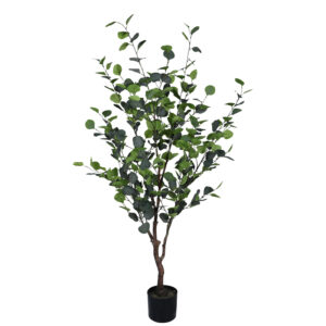 316 000015 Decorative plant Eucalyptus I in a pot Argos The Classic green pp H150cm