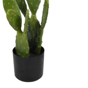316 000021 2 Cactus decorative plant in a pot Argos The Classic green pp H64cm