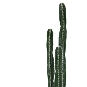 316 000023 1 Decorative plant Cactus II in a pot Argos The Classic green pp H155cm