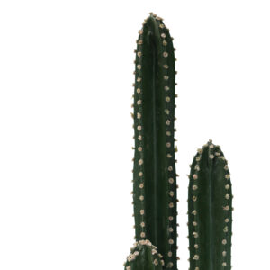 316 000024 1 Decorative plant Cactus III in a pot Argos The Classic green pp H85cm