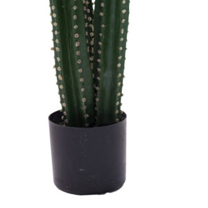 316 000024 2 Decorative plant Cactus III in a pot Argos The Classic green pp H85cm