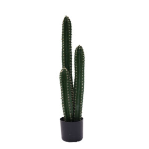 316 000024 Decorative plant Cactus III in a pot Argos The Classic green pp H85cm