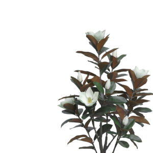 316 000027 1 Decorative plant Mangola I in a pot Argos The Classic white pp H155cm
