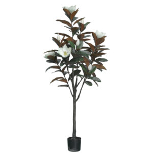 316 000027 Decorative plant Mangola I in a pot Argos The Classic white pp H155cm