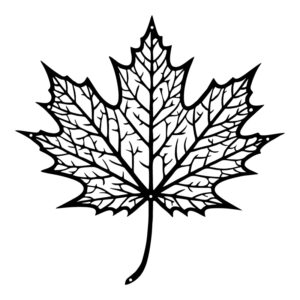 Wall deco Flowy Argos The Classic black metal 40x1.5x40cm