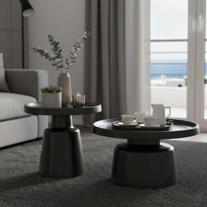 Coffee table Ginoze Argos The Classic 2 pieces set in black color metal