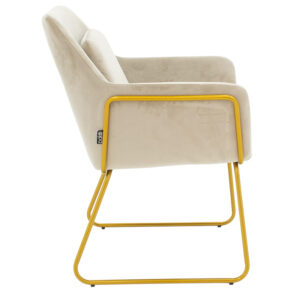 029 000160 2 Armchair Mira Argos The Classic grey beige-golden 65x69x86cm