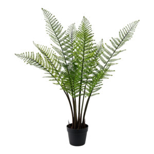 Decorative plant in a pot Ferna Argos The Classic green 62x50x90cm