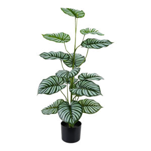 Decorative plant in a pot Oleanthy Argos The Classic green 45x38x100cm