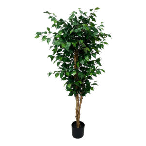 Decorative plant in a pot Fikonel Argos The Classic green 60x60x150cm