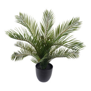 Decorative plant in a pot Fini Argos The Classic green 48x48x39cm