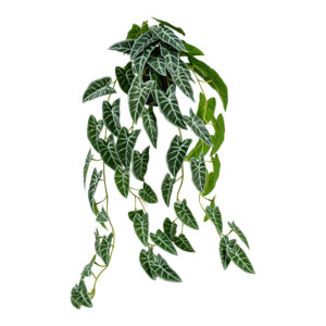 Decorative hanging plant Ancor Argos The Classic green 30x22x70cm
